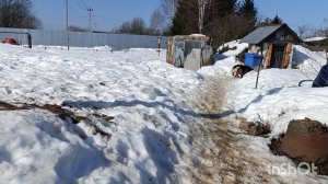 18-03-2026. Цыплята переехали 🐥. Курочки 🐔 на свободе.