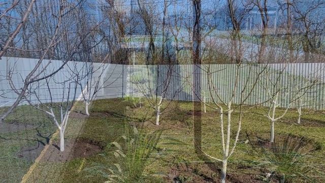 13-14.03.26. Посадка картофеля, гороха. Пересадка цветов. Рынок.