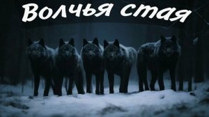 КЛИП А МНЕ БЫ