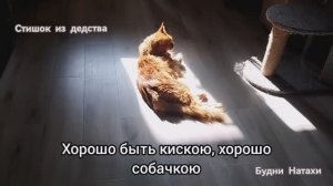 Стишок из дедства! Хорошо быть котиком...