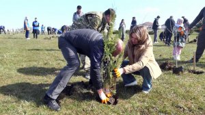 В Крыму и Севастополе сегодня дали старт масштабной акции "Сад памяти".