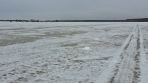 Половили  немнего окуня