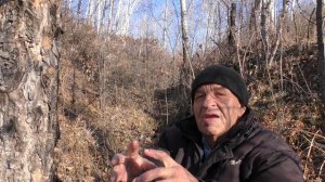 О медведях и отношение к ним эвенков Интересно, поучительно