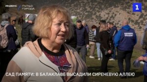 Сад памяти: в Балаклаве высадили сиреневую аллею