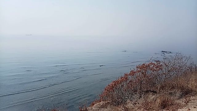 Море дышит теплом