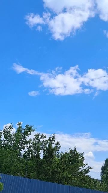 Это Жизнь... смотреть онлайн