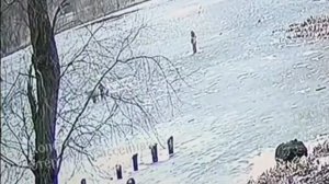 Два ребенка едва не утонули в озере — их вовремя спасли прохожие

В Калининграде две девочки 9 и 10