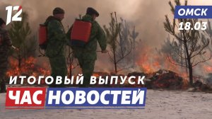 Противостояние природным стихиям / Спасли собаку / Аварийный дом. Новости Омска