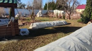 15 марта. Ленинградская область.