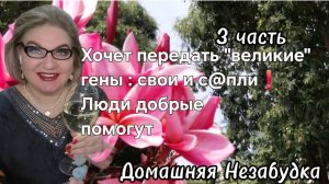 3 часть. Хочет передать "великие" гены: свои и с@пли❗️Люди добрые помогут❗️