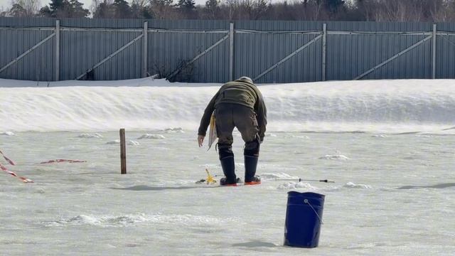 Видеообзор с водоемом
