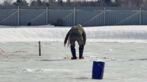 Видеообзор с водоемом