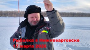 Рыбалка в Нижневартовске 17 марта 2026