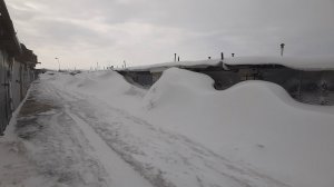 14 марта 2026 год. Выпало немного снега.