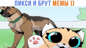 Пикси и Брут мемы) Часть 4