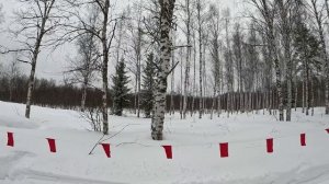 ОХОТА НА ВОЛКОВ! Девять волков с одного оклада!