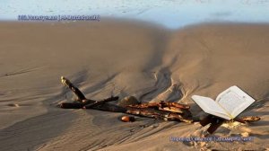 60. Сура Аль-Мумтахана (Al-Mumtahanah  الممتحنة) — Слушать перевод Корана на русском языке 🕌