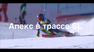 Апекс (Apex) в трассе SL