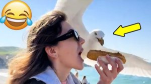 ПОДБОРКА ПРИКОЛОВ Я РЖАЛ ДО СЛЕЗ, ЛУЧШИЕ ПРИКОЛЫ 2026 СМЕШНЫЕ ВИДЕО, ДЕВУШКИ , ПОДБОРКА ПРИКОЛОВ