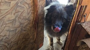 Яркий вечер, старые знакомые и бурлящий поток