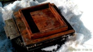 Что натворила мышь в улье.