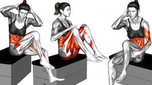 12 Упражнений Для Пресса Для Женщин