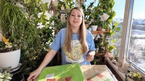 Чем укрыть первую рассаду в теплице в мае? Подбираем идеальный, прочный спанбонд - спанграмм!