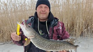 Отличное завершение зимнего сезона состоялось! Нашли ТРОФЕЙНУЮ ЩУКУ в дебрях камыша!