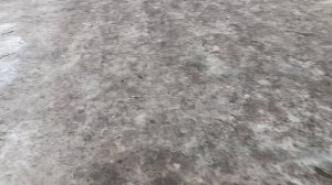 Анекдоты от автора