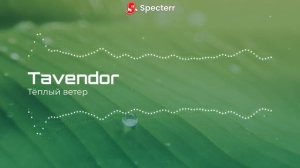 Tavendor - Тёплый ветер. Спокойный дип хаус. 2026 год.