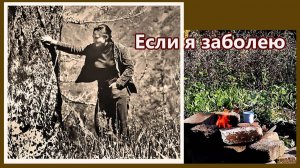 Наталья Борзых, дневники - Если я заболею