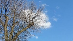 Релакс. 17 марта 2026 г.