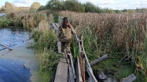 Осенняя охота. Ярославльская область