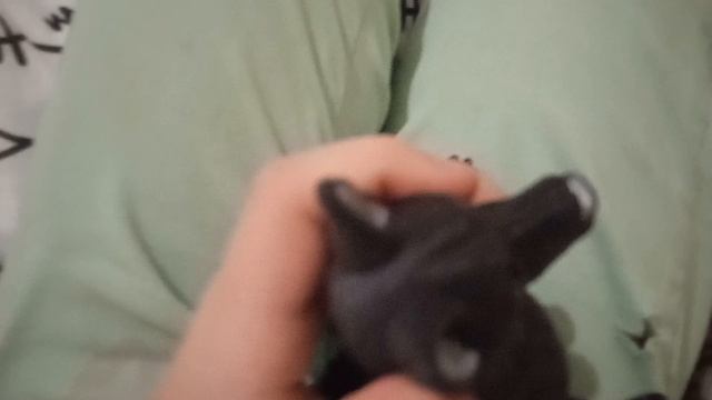 всех показывают 3 д моих игрушек.