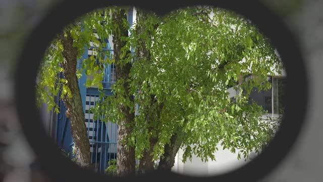 Новые японски очки с автофокусом Vixion2