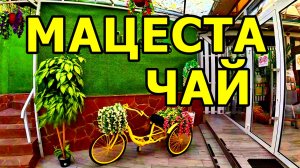 МАЦЕСТА-ЧАЙ. ПРИЕХАЛИ НА ЭКСКУРСИЮ. ПРОДУКЦИЯ В МАГАЗИНЕ. 24 НОЯБРЯ 2025 ГОДА. СОЧИ.