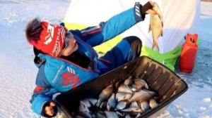 Это СРАБОТАЛО! рыба  ТЯНЕТ В ЛУНКУ! Зимняя рыбалка с ночёвкой на льду.