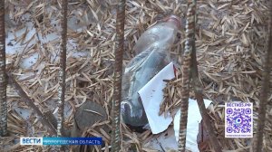 Весенние сюрпризы: вологжане борются с оттаявшим мусором