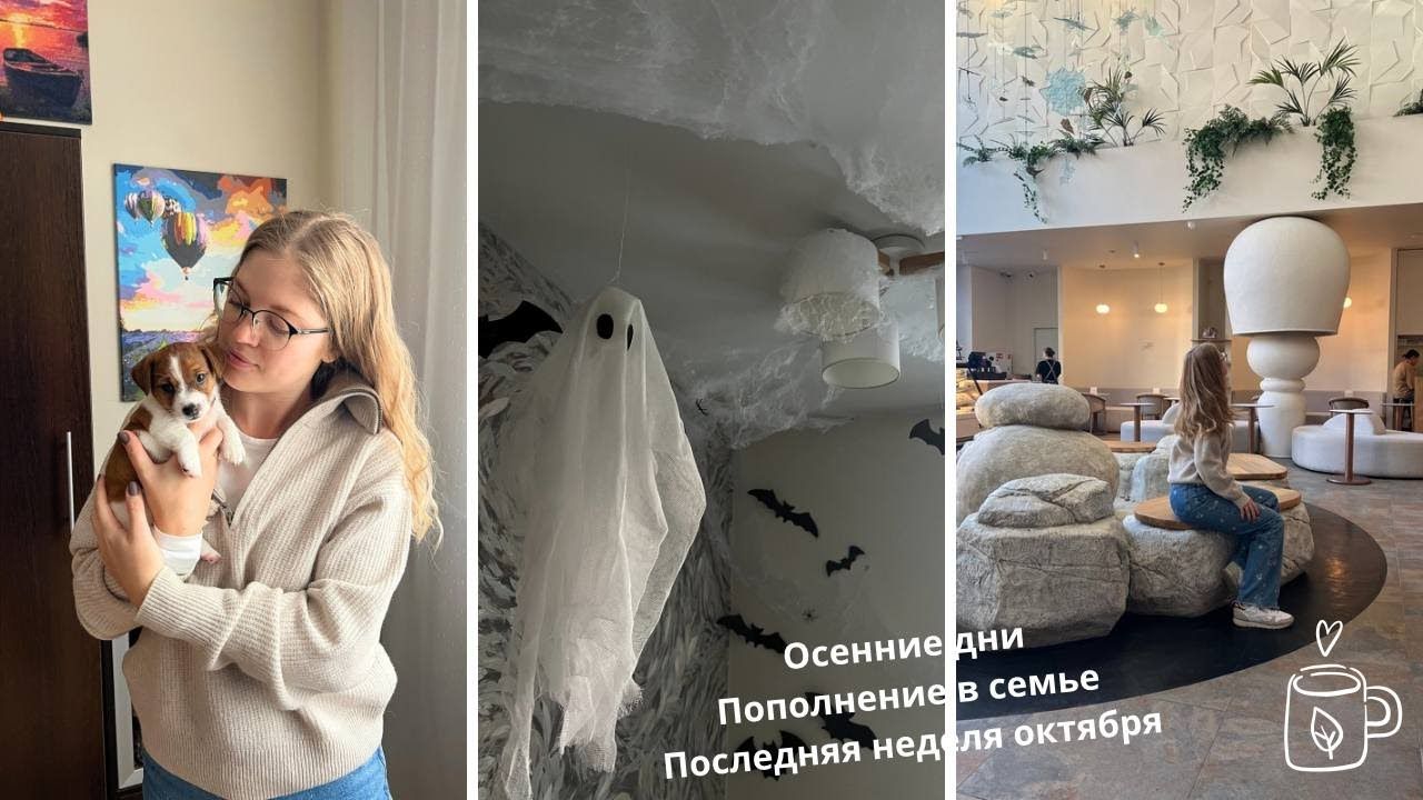 Осенний влог взяли щенка, хэллоуин, мира термы