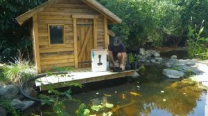 ЖИВУ В ЛЕСУ В СВОЕМ ДОМИКЕ