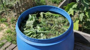 Осторожно, крапива! Кому это "полезное" удобрение противопоказано