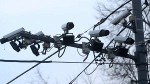 Автоледи получила штраф за телефон пешехода из-за ошибки камеры во Владивостоке