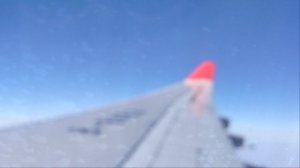 Опять сидим на крыле))