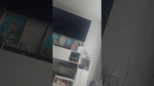 энтырвю с алисой