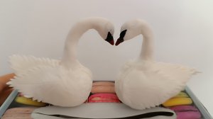 КАК СДЕЛАТЬ ЛЕБЕДЕЙ ИЗ МАСТИКИ ДЛЯ УКРАШЕНИЯ ТОРТА🦢 🎂