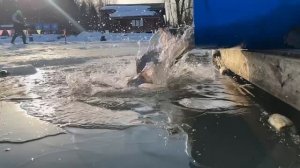 Запуск форели