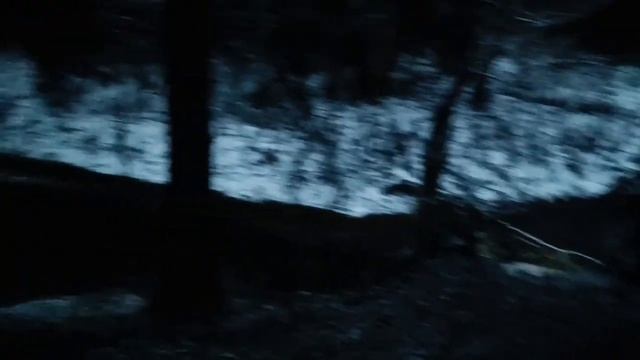 Охота на тигра - энергетический вампиризм & Кастанеда