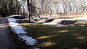 Поездка в Пушкинские горы.