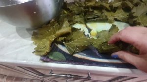 Открыла дачный сезон. Готовлю толму. Всходы у посевов.