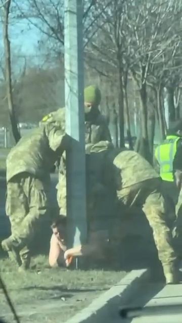 ����. �������� ����������